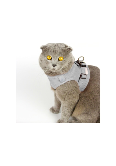 Petköy Kedi Gezdirme Tasması Kedi Göğüs Tasma Seti Yumuşak Süet Kumaş Gri