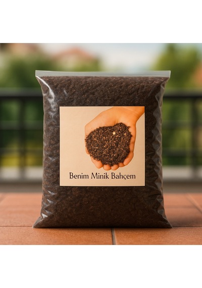 Benim Minik Bahçem Mine Çiçeği Yetiştirme Seti Balkon & Ev İçi Mini Bahçe
