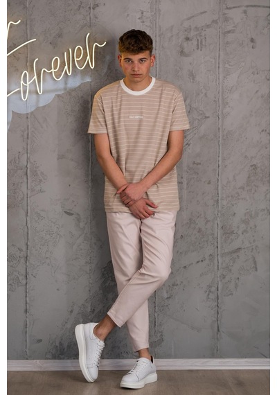 Reguler Fit Bisiklet Yaka Likralı Çizgili Erkek Yazlık T-shirt 001