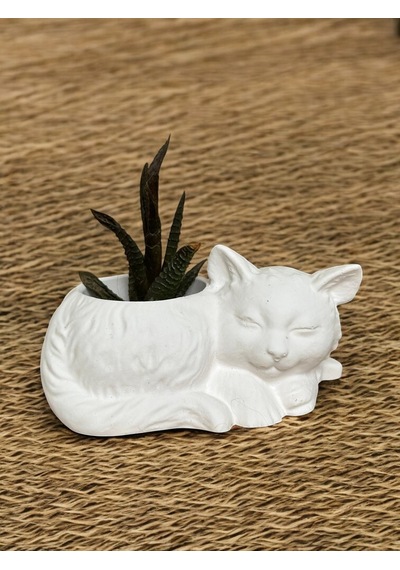 Kedi Dekoratif Kaktüs Ve Sukulent Saksısı, El Yapımı Minimalist Ev Dekoru, Masa Dekoru