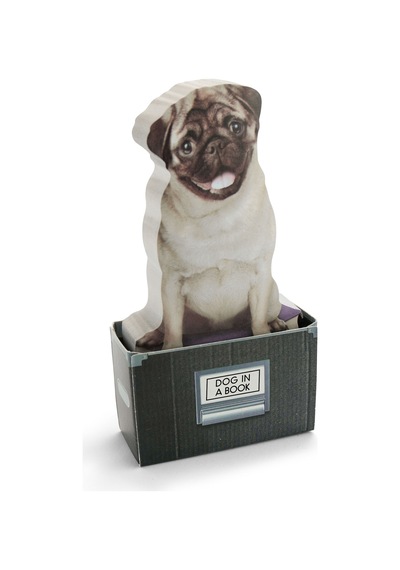 Mustard Dog İn A Box Yapışkanlık Not Kağıdı