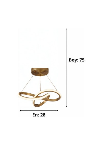 Mini Kar Çiçeği Küçük Modern Ledli Avize 3 Renk Power Ledli Gold Kaplama Kumandalı Çoçuk Odası Yatak Odası Mutfak