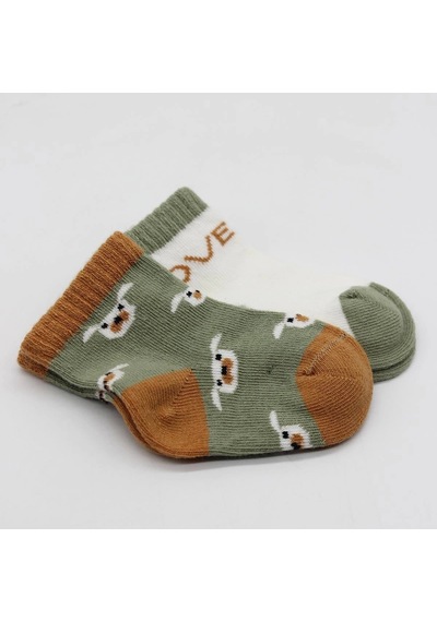 Bistyle Love Dog Penye Soket Çorap 2'li Bs10118 Nil Nil Yeşil