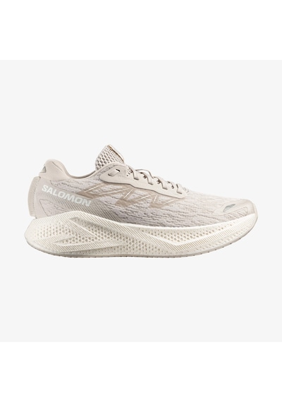 Salomon Aero Glıde 4 Erkek Koşu Ayakkabısı Silver Cloud L49147200 Krem