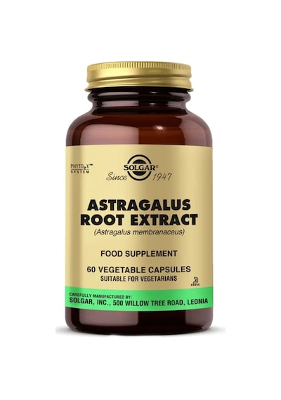 Astragalus Root Extract 60 Kapsül