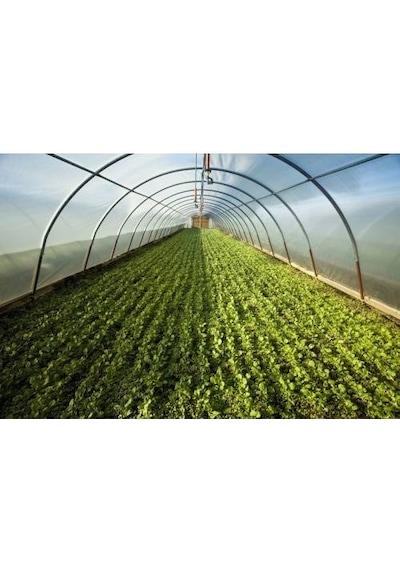 36 Aylık Sera Naylonu Kalın 12 M X 2M 350 Mikron Eva UV Katkılı