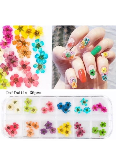 Nail Art Kurutulmuş Çiçek Ng-145