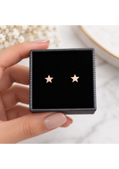 925 Ayar Gümüş Rose Gold Minimal Yıldız Tasarımlı Kadın Küpe Gümüş - Pembe