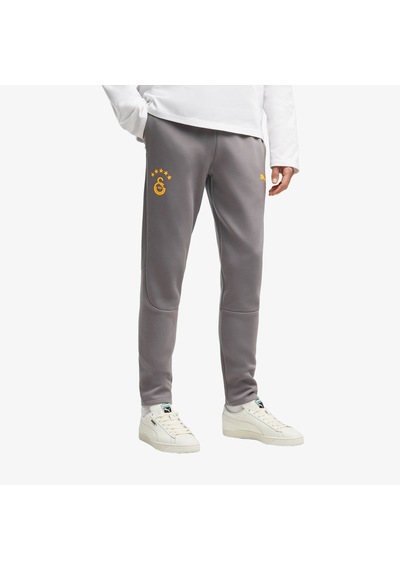 Puma Galatasaray 26/27 Evostripe Erkek Gri Eşofman Altı 786822