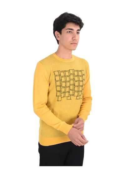 Cengiz İnler Bisiklet Yaka Kare Desen Yünlü Erkek Triko Kazak