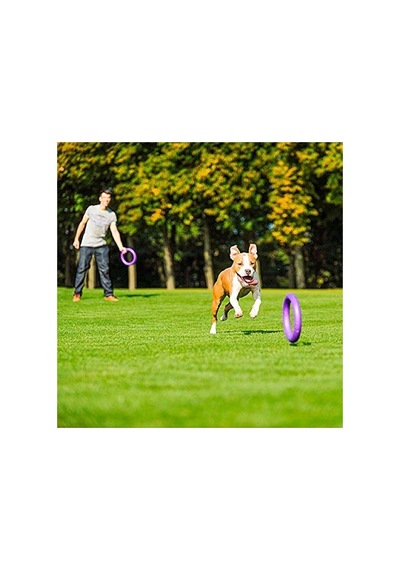 Köpek Eğitim Halkası - 2 Adet Set