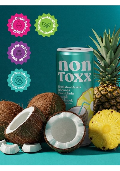 Nontoxx Hindistan Cevizi & Ananas Aromalı, Sirkeli, Gazlı İçecek 250 Ml