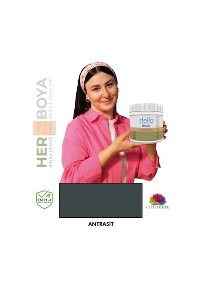 Stella Boya Yeni Nesil Yaşam Boyası Dolap-fayans-cam-plastik-ahşap Diğer