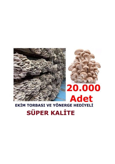 İstiridye Kavak Kayın Mantarı Tohumu Ekim Poşeti Ve Yönergeli N115653
