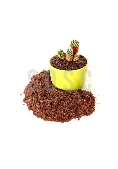 Hindistan Cevizi Torfu%100 Doğal Torf - Cocopeat Hindistan Cevizi Lifi - Doğal Bitki Toprağı 3 Lt Sku: Zeus8690010010520 0 Hindistan Cevizi Torfu%100 Doğal Torf - Cocopeat Hindistan Cevizi Lifi - Doğal Bitki Toprağı 3 Lt Sku: Zeus8690010010520 0