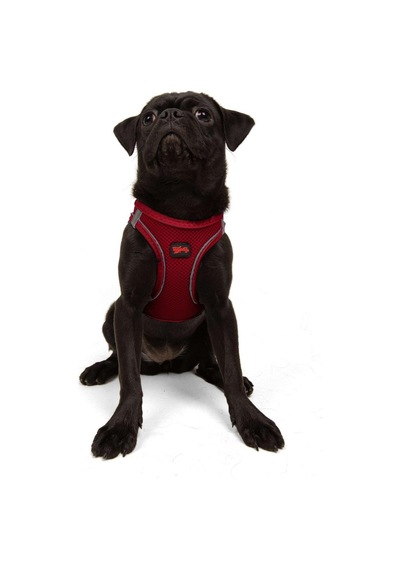 Tailpetz Air-mesh Küçük Ve Orta Irk Kedi Köpek Göğüs Tasması - Yumuşak, Nefes Alabilir, Dayanıklı Kırmızı, Medium Sku: Zeusb0829235y8 Açık Bej - Bej