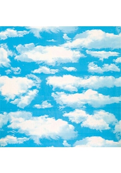 Asma Tavan Karolam, Pvc, Gökyüzü Desen, 60x60 Cm, 8 Mm
