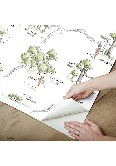 Renkli The Pooh 100 Acre Ahşap Harita Soyma Ve Yapıştır Duvar Kağıdı Diğer