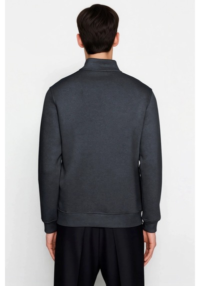 Benerly Erkek Dik Yaka Fermuarlı Standart Kol Regular Kalıp Sweatshirt Fo Antrasit