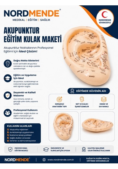 Nordmende Akupunktur Eğitim Kulak Maketi Auriküloterapi Nokta Gösterim Anatomik Eğitim Modeli