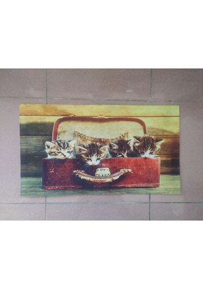 Dijital Baskılı Kapı Önü Daire Paspası Kauçuk Tabanlı 39*69 Cm A4