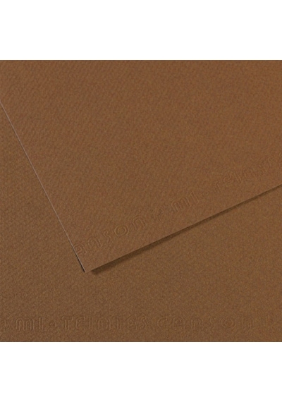 Canson Fon Karton (Dokulu) Mı-Teıntes 25 Li 50X65 160 Gr 133 Sepi