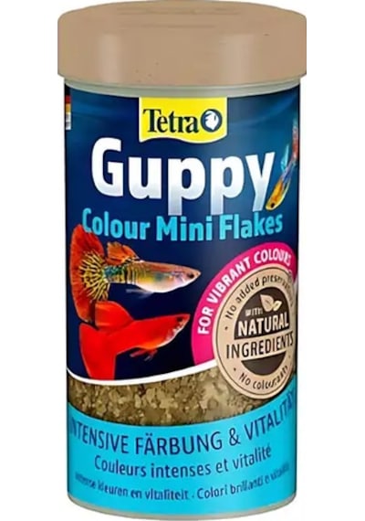 Tetra Guppy Clour Mini Flakes Lepistes Pul Balık Yemi 250 Ml
