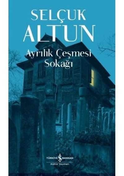 Ayrılık Çeşmesi Sokağı - Qhdh-858732