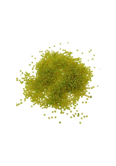 08 Kum Boncuk İçten Boyalı Fıstık Yeşil 3 Mm 80 Gr
