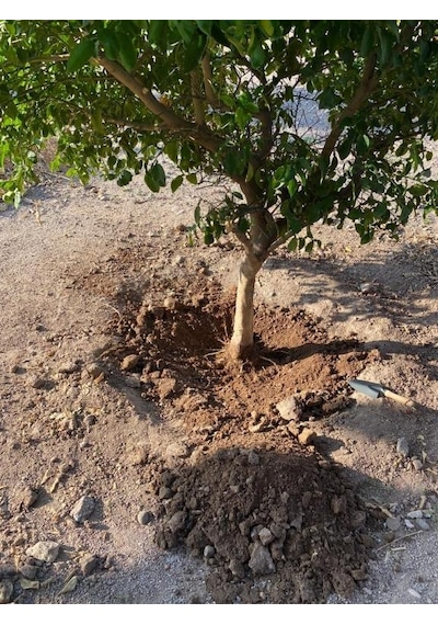 İsonem Soil Water Trap Toprak Altı Su Tutucu 5 Kg