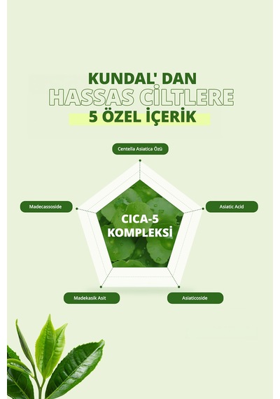 Akneye Eğilimli Ciltlere Vücut Bakım Misti Kundal Tea Tree Biotics Body Mist 200ml Apple Green Tea