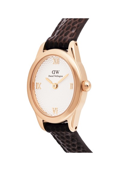 Daniel Wellington Dw00600894 Kadın Kol Saati Diğer