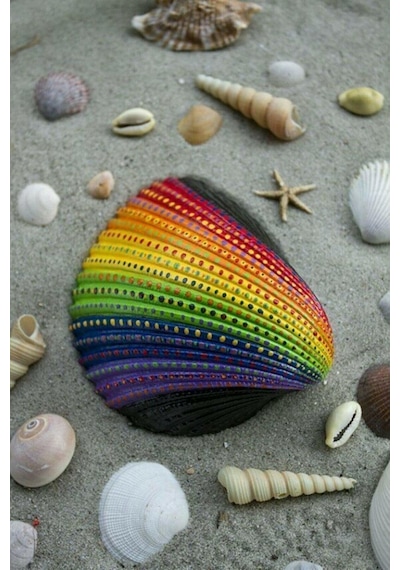 Kabuk Boyama Seti. Deniz Kabuğu Boyama. Shell Painting. Sanatsal