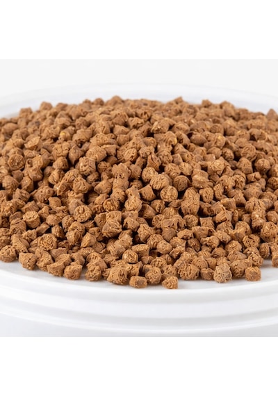 Rasyon High Protein Papağan Yemi 20 Kg