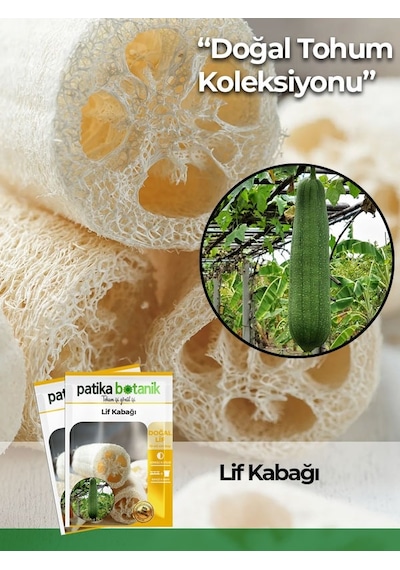 20 Adet Lif Kabağı Tohumu Kabak Tohumu