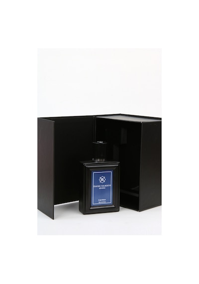 Davide Gilberto Afrodizyak Unisex Parfüm EDP 100 ML