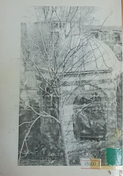 Turgut Reis,Ali Rıza Seyfi