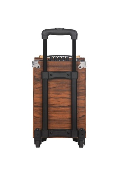 Baab Q8 Profosyonel Ahşap Kasa Taşınabilir 25x27x46 Kumandalı Bluetooth Hoparlörler