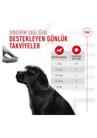 Immunity&digestion Chews Bağışıklık Ve Sindirim Sistemini Destekleyen Tamamlayıcı Ödül Maması 100g