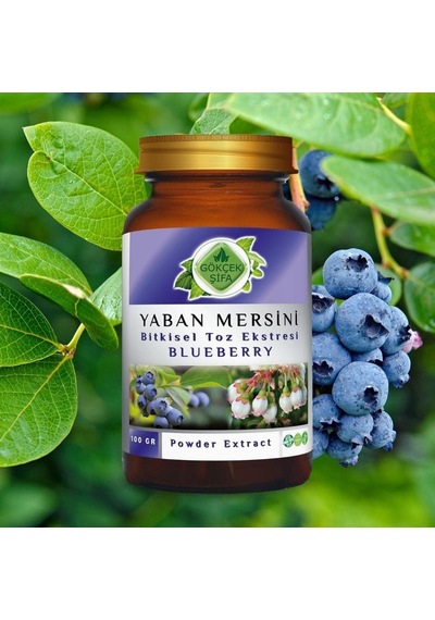 Gökçek Şifa Yaban Mersini Blueberry Toz Ekgerginliki 100 Gr Cam Kavanoz