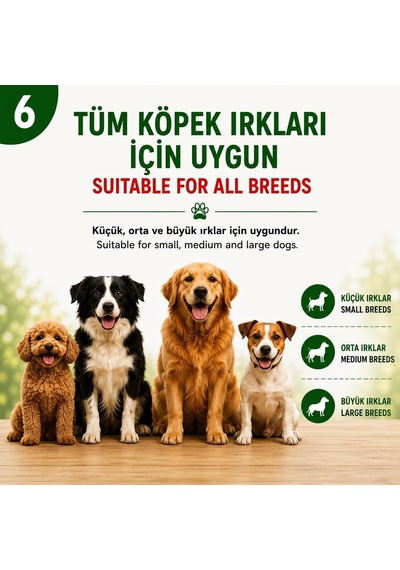 Freshy Rabbit Ear Whit Duck Ördek Eti Kaplı Tavşan Kulağı 100 Gr 8'li