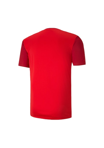 Puma Teamgoal 23 Sideline Tee Erkek Futbol Antrenman Tişörtü 6564 Kırmızı