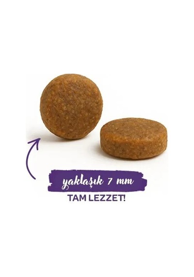 Sanabelle Life Adult Devekuşlu & Yaban Mersinli Kuru Kedi Maması 8 Kg