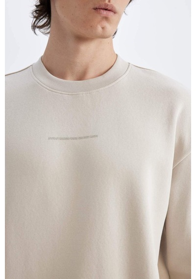 DeFacto Boxy Fit Bisiklet Yaka Baskılı Sweatshirt X8282AZ24AUBG766 Bej