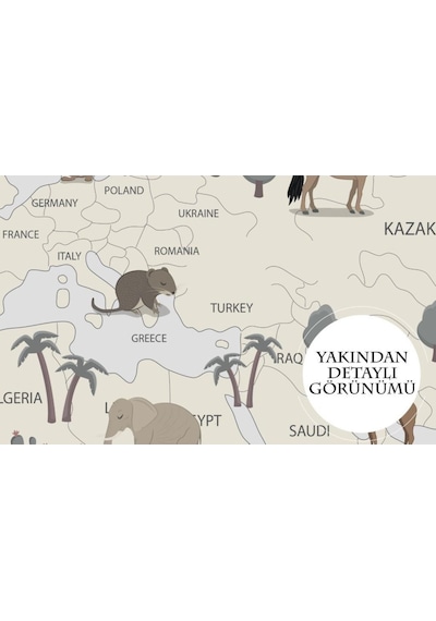 Eğitici Dünya Haritası Üzerinde Hayvanlar Duvar Kağıdı