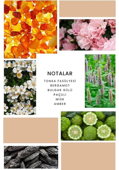 İxora Nora Body Mist Kadın 200 Ml