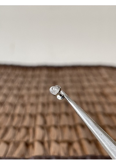 Gerçek Titanium G23 Kalp Zirkon Titanyum 6x1.2mm Bedenilabret Piercing Gümüş