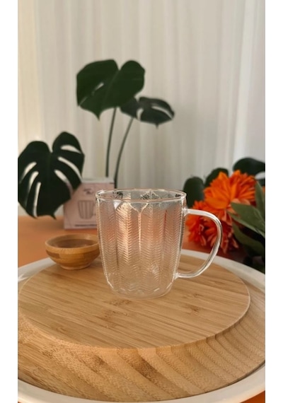 Luca Mia Doğa Kulplu Cam Bardak 6 Adet 20.0023