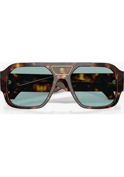 Versace 4508 53780 56 Çok Renkli