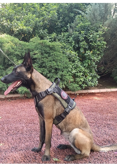 Tactical Göğüs Tasması Taktik Tasma Haki